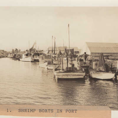 Shrimp Boats in Port