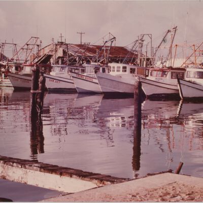 Vietnamese Shrimp Boats