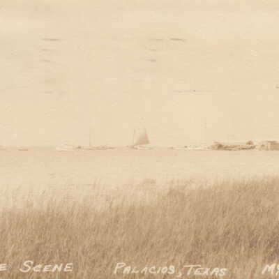 Shore Line View