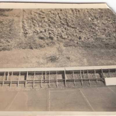 View from the Roof