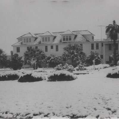 Luther Hotel W/ Snow