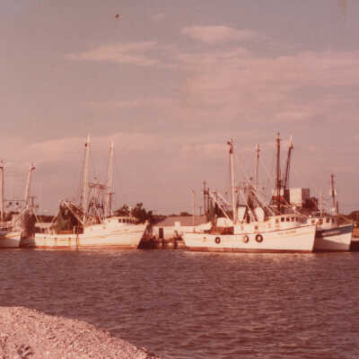 Shrimp Fleet