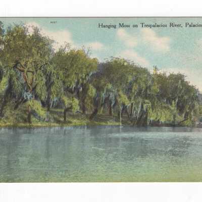 Hanging Moss on Tres Palacios River