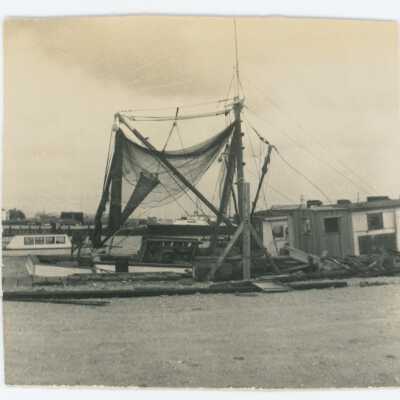 Shrimp Trawlers