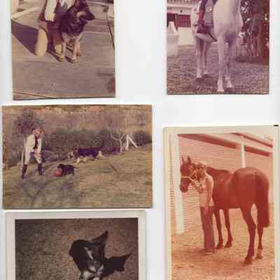 Animals and their humans