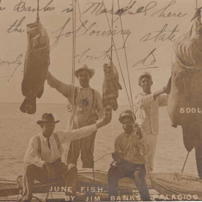 June Fish