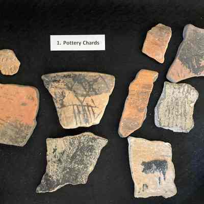 Pottery Chards
