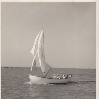 Print, Photographic