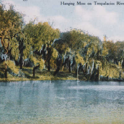 Hanging Moss on Tres Palacios River, Palacios, Texas
