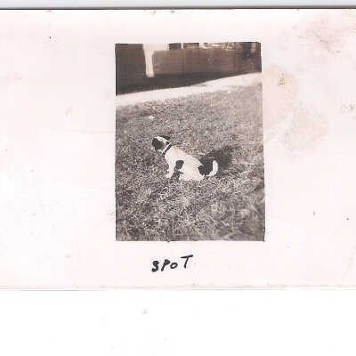 Spot, Our Mascot