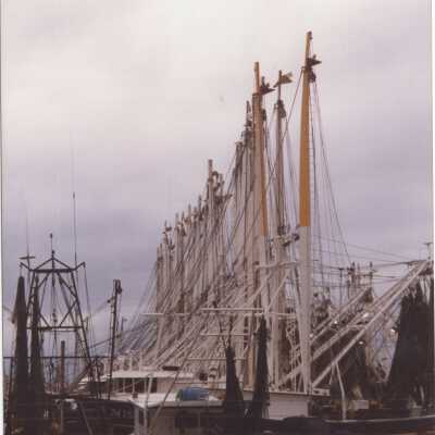 Row of Shrimp Boats