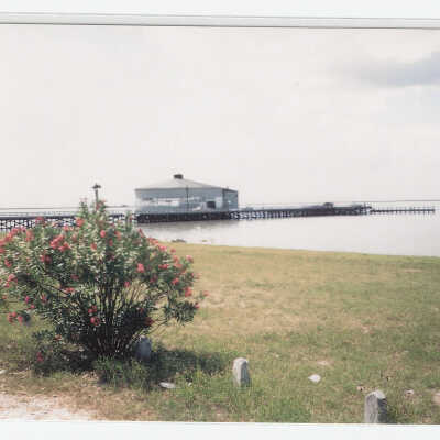 Pavilion