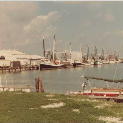 Shrimp Boats