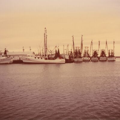 Shrimping Fleet