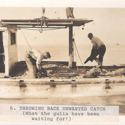 Throwing Out Unwanted Catch