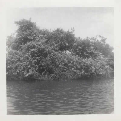 Canoe Trip