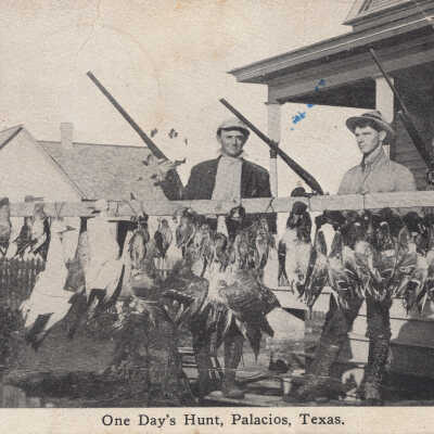One Day's Hunt, Palacios, Texas