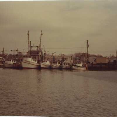 Shrimp Trawlers