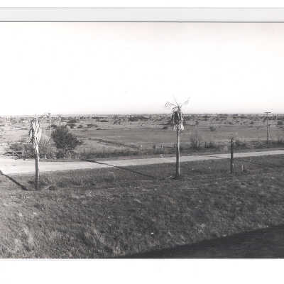 Camp Hulen