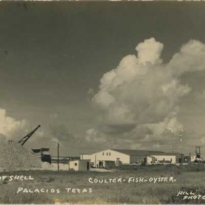 Coulter-Fish-Oyster