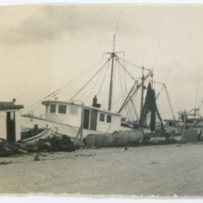 Shrimp Trawler