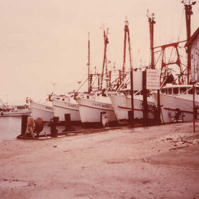 Shrimping Fleet