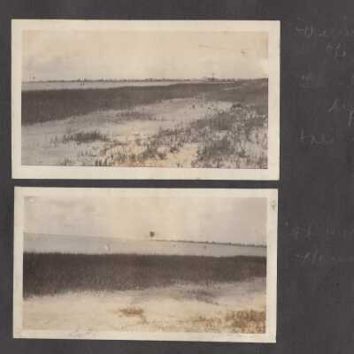 Bay Scene