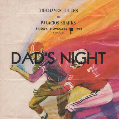 Dad's Night Out