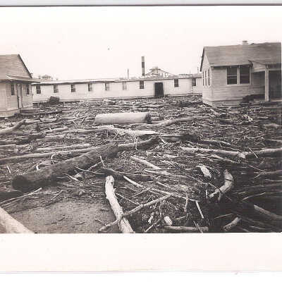 Broken Branches
