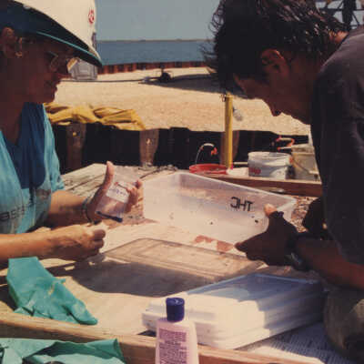 Sifting and Labeling Objects