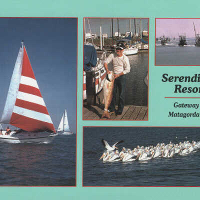 Serendipity Resort