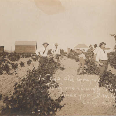 15 Month Old Grapes