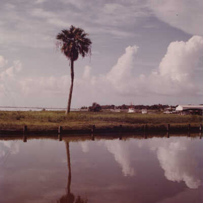 View South from 100 Block of Bayshore Drive