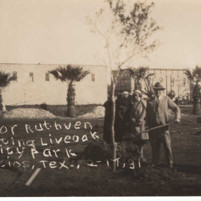 Mayor Ruthven Planting Tree