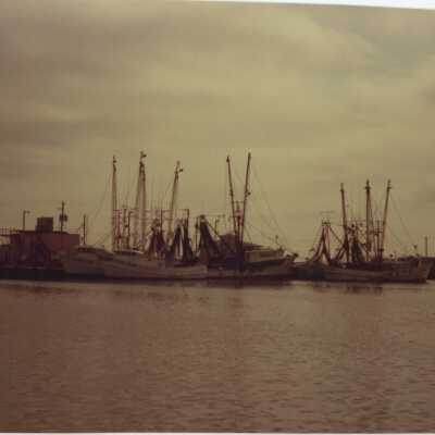Shrimp Trawlers