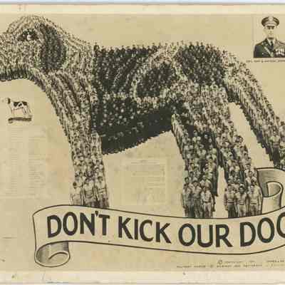 Don't Kick Our Dog