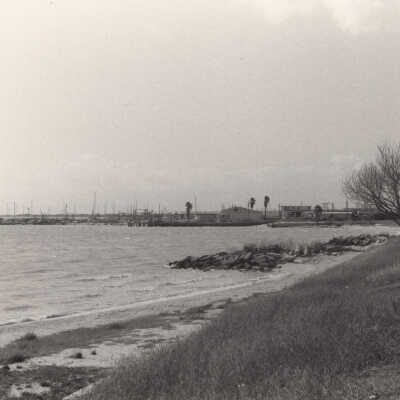 Bay Scene