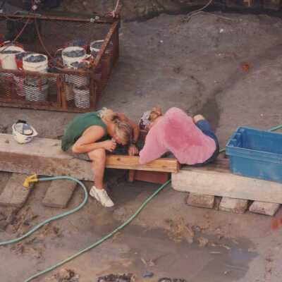 Belle Excavation