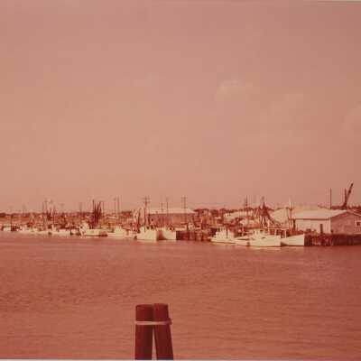 Shrimp Boats