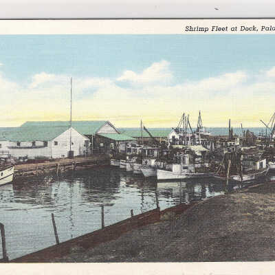 Shrimp Fleet at Dock