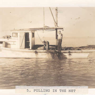 Pulling in the Net