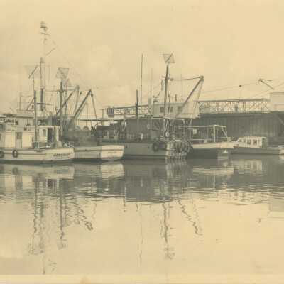 Boats at the Port of Palacios