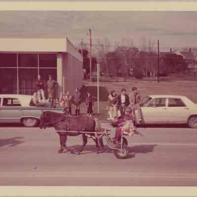 Ponies pulling cart with children