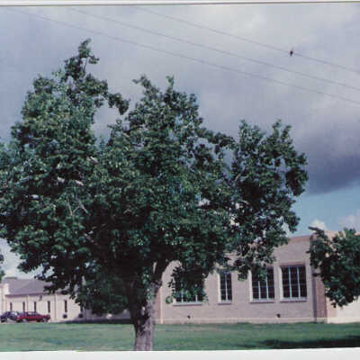 Elementary School