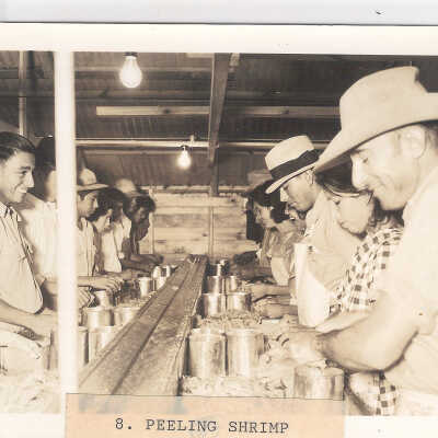 Peeling Shrimp