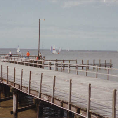Catamarand Races