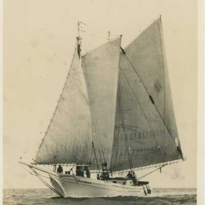 F.L. Colle Schooner