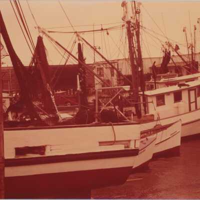Shrimp Trawlers