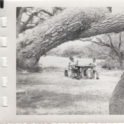 Photograph