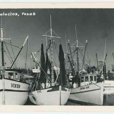 Shrimp Boats